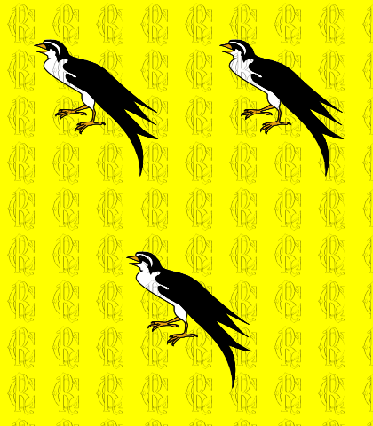 UCCELLI